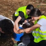 WhatsApp Image 2023-04-10 at 19.24.25